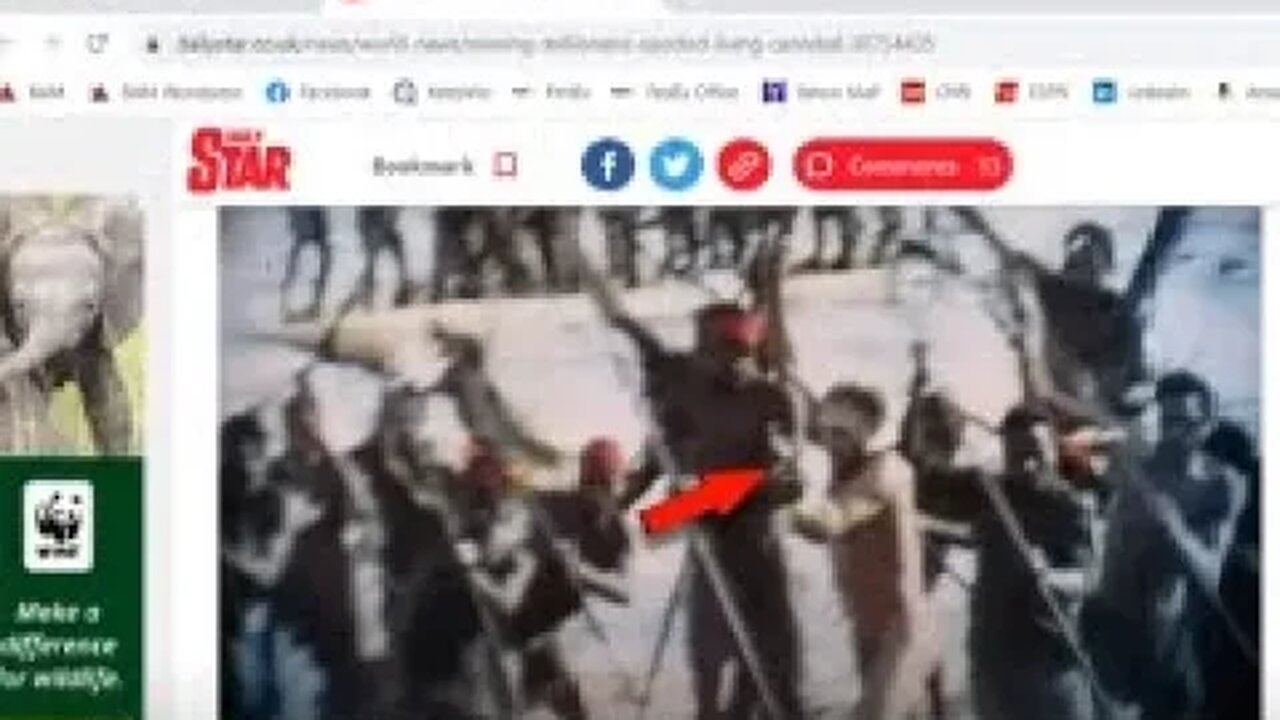 "Missing Rockefeller Eaten By Cannibals?" Mystery Solved?