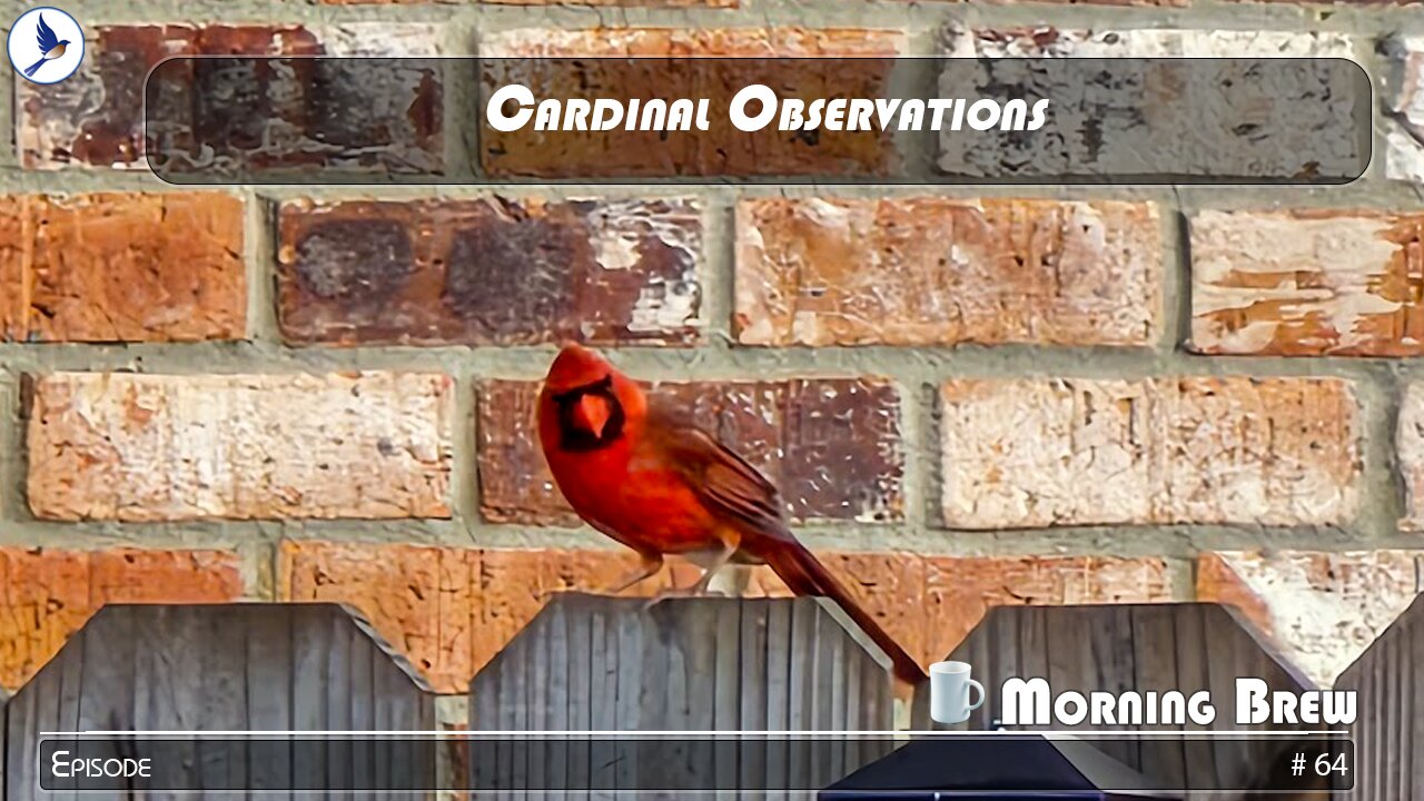 Cardinal Observations