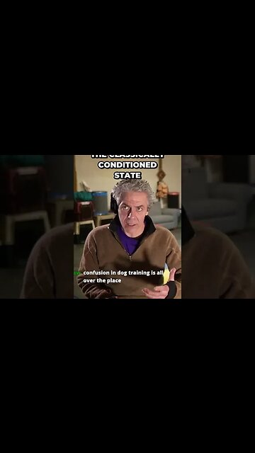 🥏🐶🥋Fascinating Mental-Physical Dipole - Affect, Cue and Trigger for Dogs🐶🧠⚡️