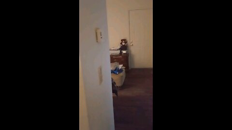 my dad wanted to box me for food