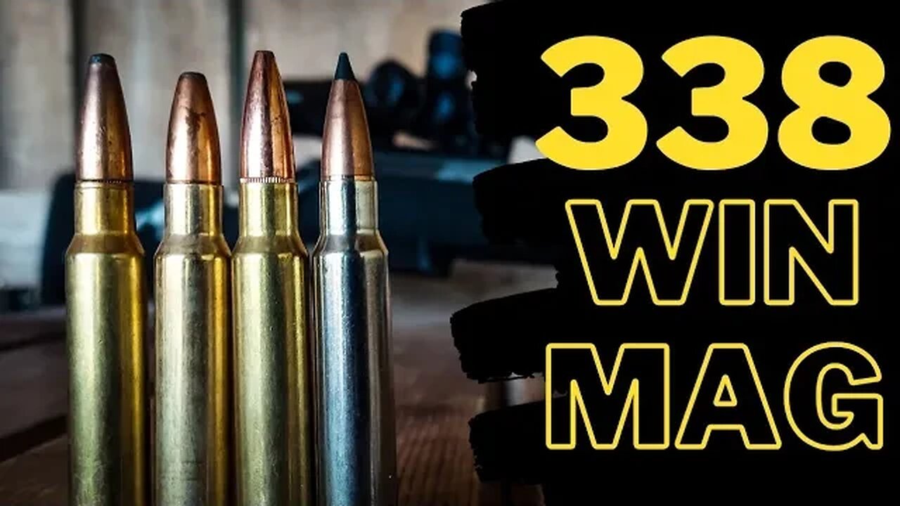 338 Win Mag - 100 Yard AMMO Test