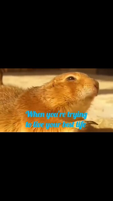 When you're trying to live your best life