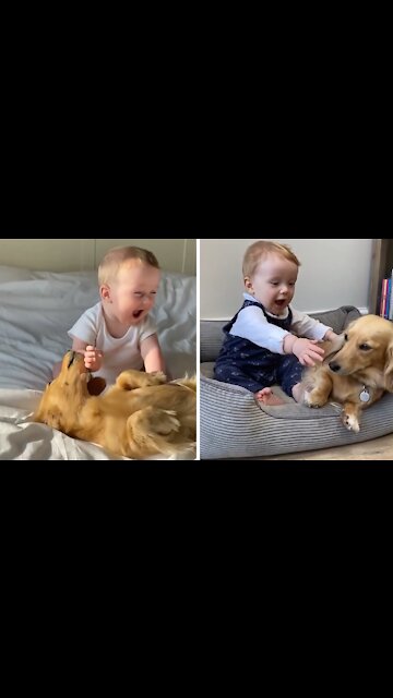 Baby And Puppy Are Instant Besties And It's Absolutely Adorable