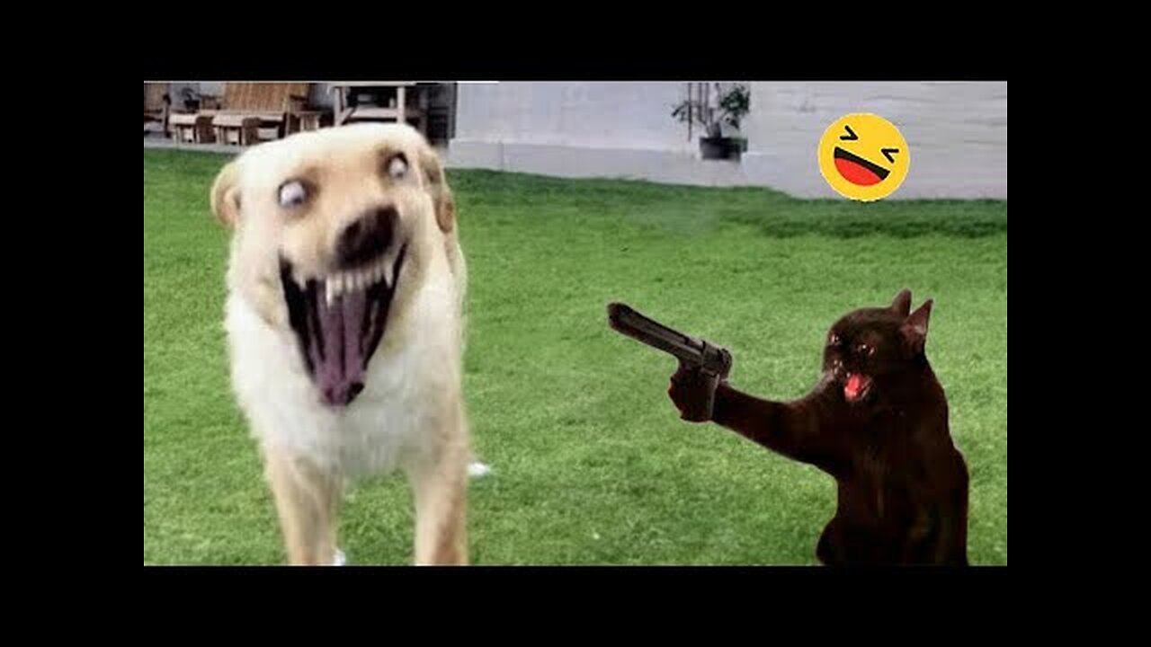 Funniest Cats And Dogs Videos 😁 - Best Funny Animal Videos 2023 🥰