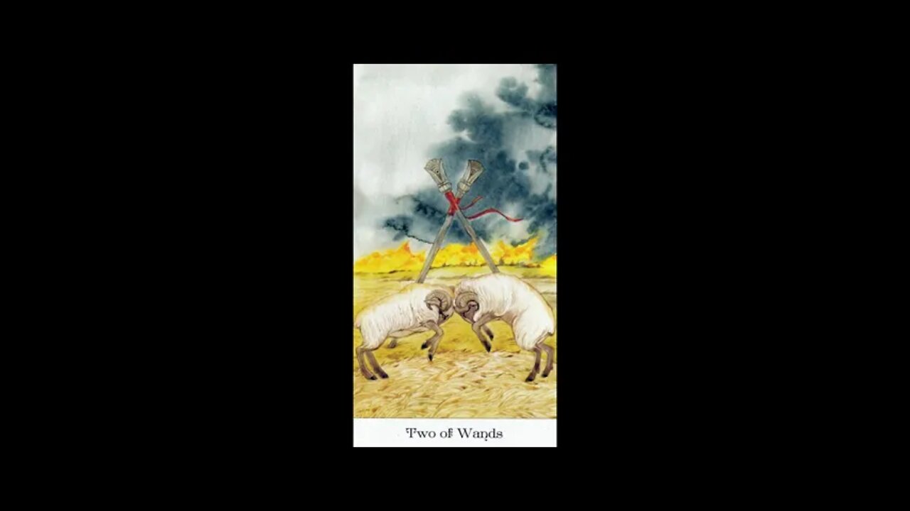 Golden wheel tarot gallery