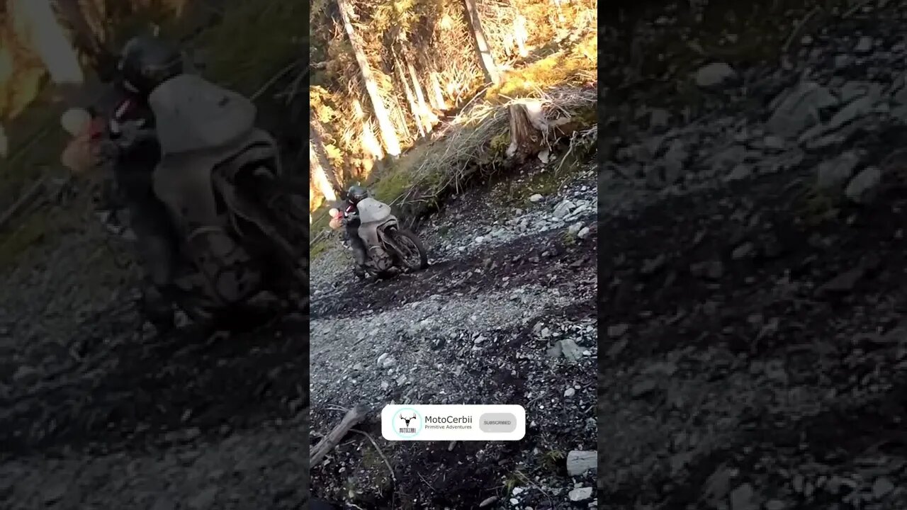 Hillclimb fails #shorts #enduro #fail #motocerbii #romania #yamahaxt660r #hondatransalp