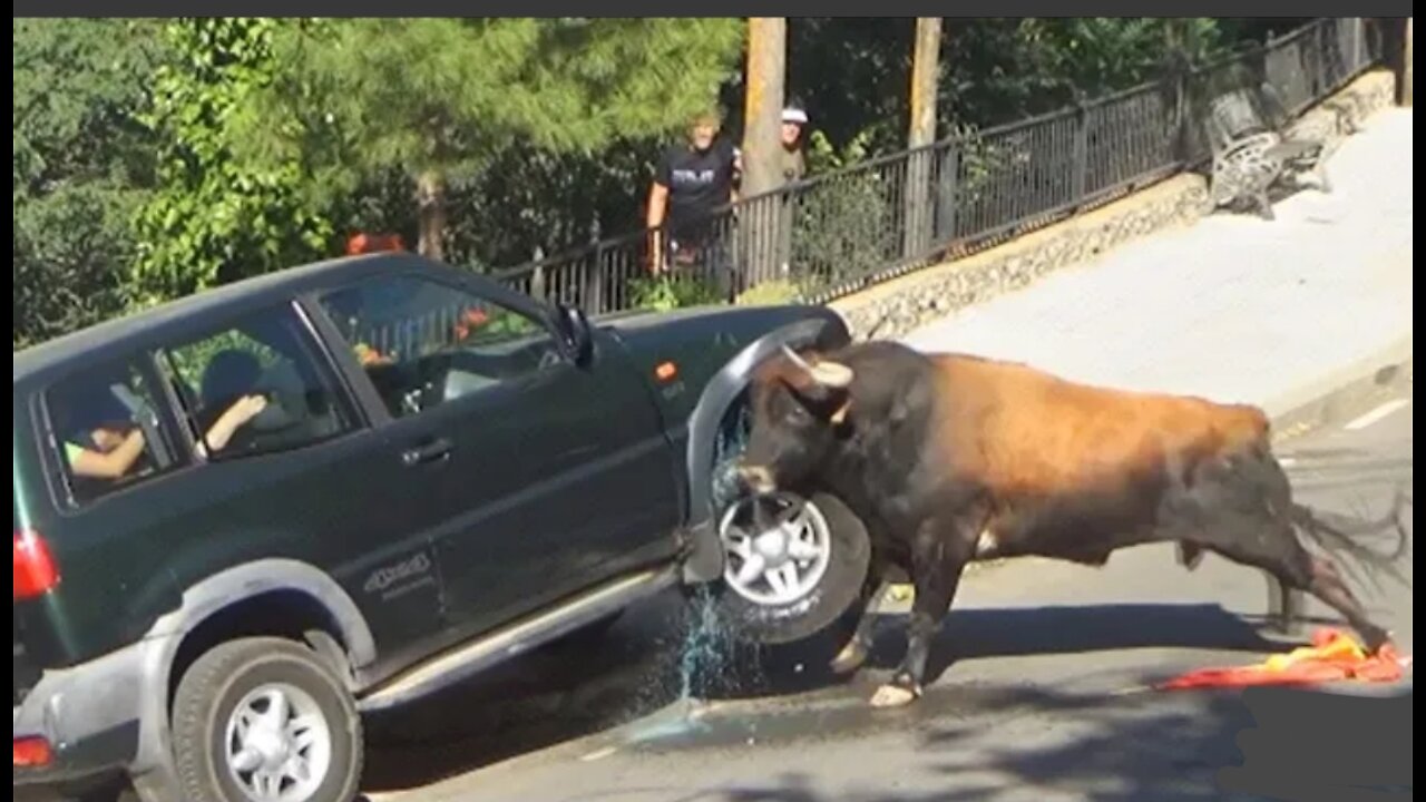 Damn The nature is Scary! Animal moment caught in camera