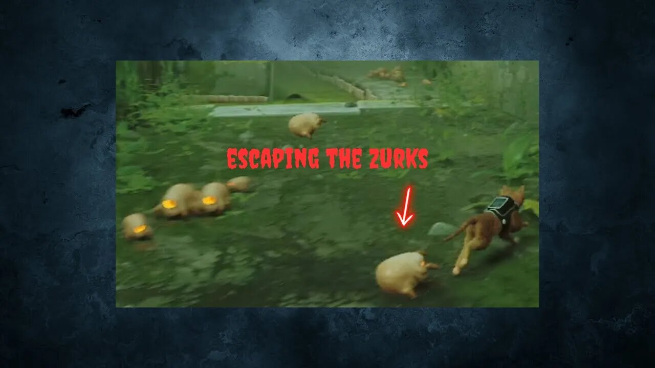 Escaping Zurks In Stray