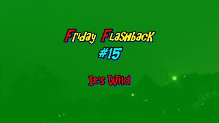 Friday Flashback #15