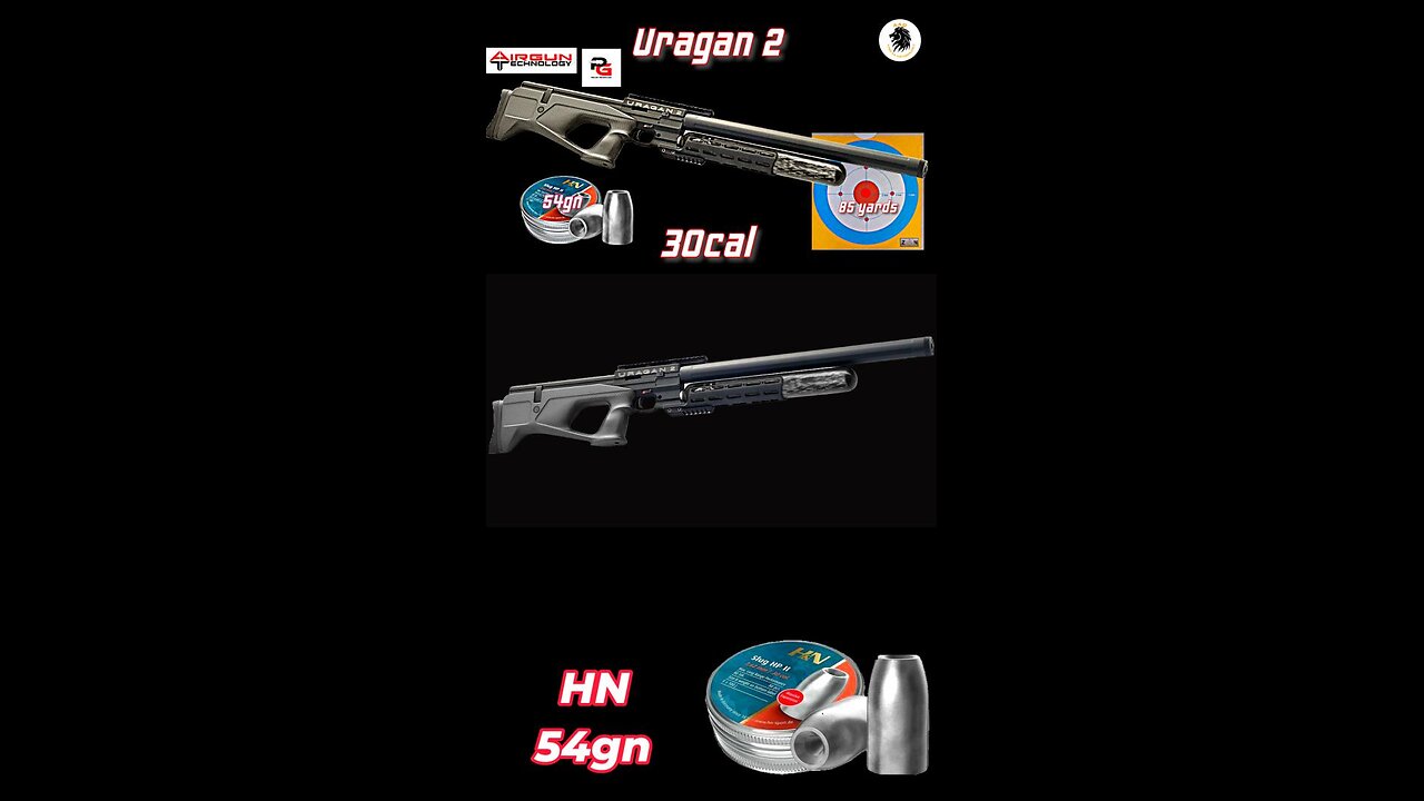 Uragan 2 30 cal shooting HN 301 cal 50gn slugs at 55 yards