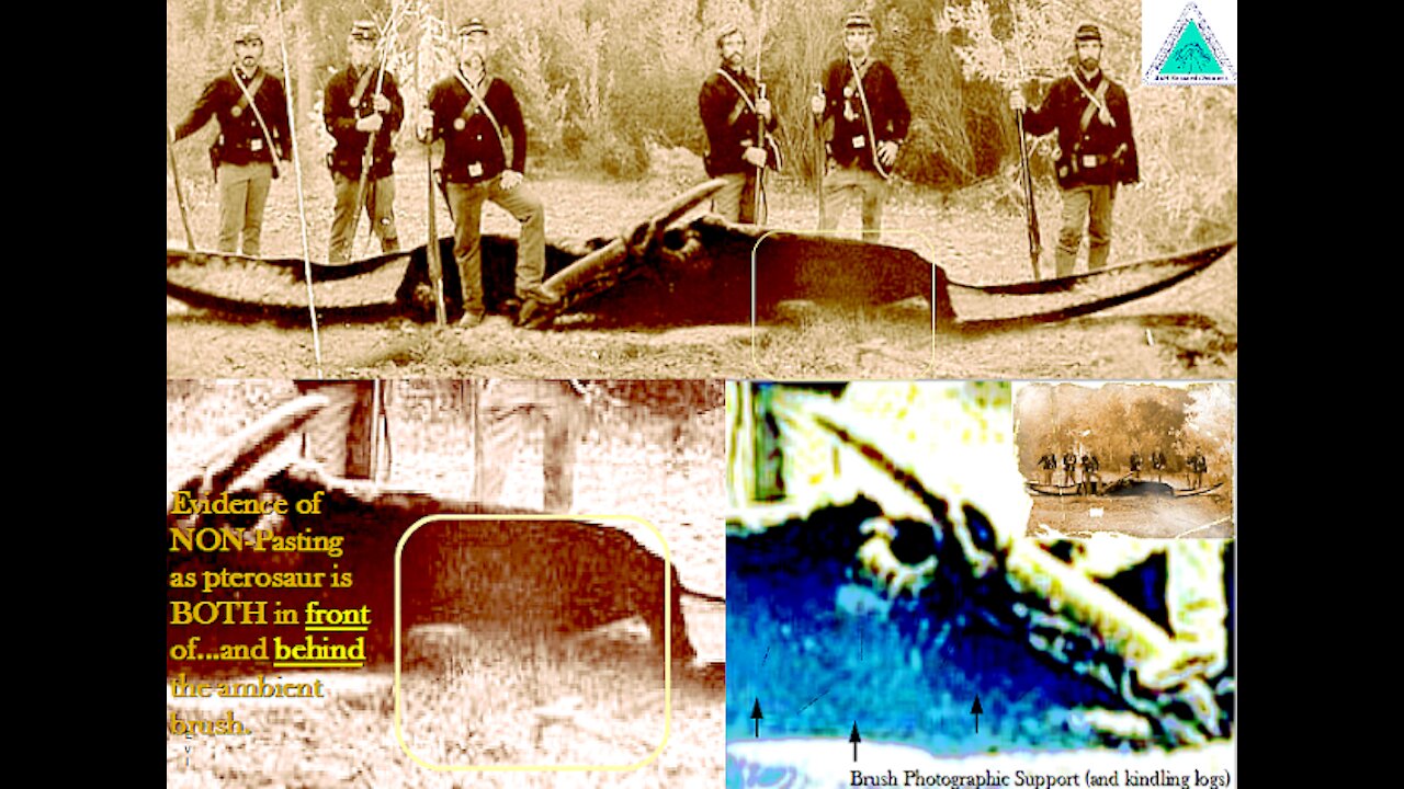 Pterodactyl "cone shape" Crest