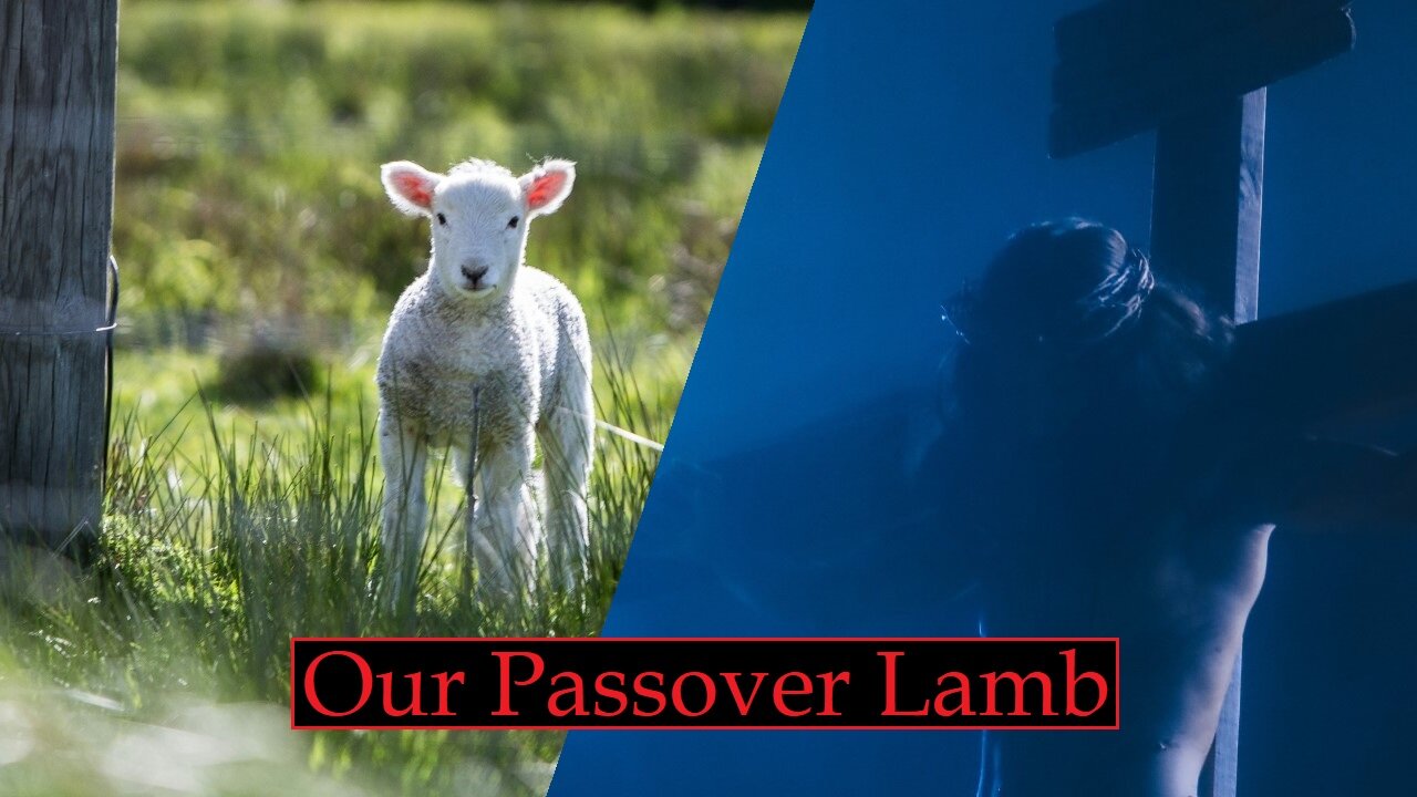 Our Passover Lamb (Bible Study)