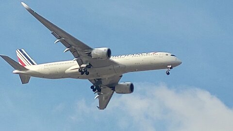 Airbus A350 F-HTYO coming from Paris and Boeing 737 MAX 8 PS-GPM from Salvador to Fortaleza