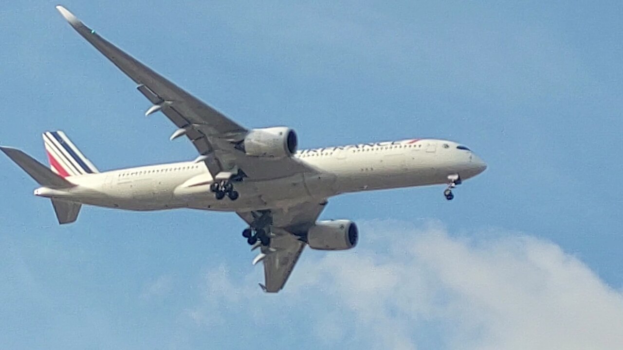 Airbus A350 F-HTYO coming from Paris and Boeing 737 MAX 8 PS-GPM from Salvador to Fortaleza