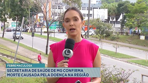 Febre maculosa: Secretaria de Saúde de MG confirma morte causada pela doença na região.