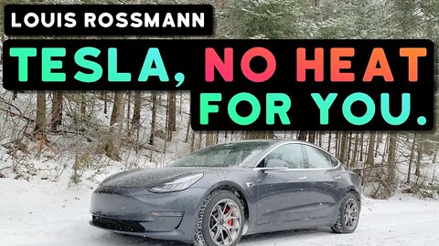 TESLA FAIL: heat dies in winter, SIX WEEK WAIT to get looked at for repair