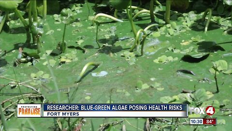 Experts discuss health effects from toxic algae blooms