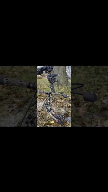 Bow Ready Stand Back In Stock!