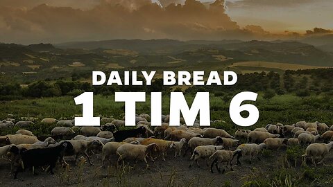 Daily Bread - 1 Tim 6