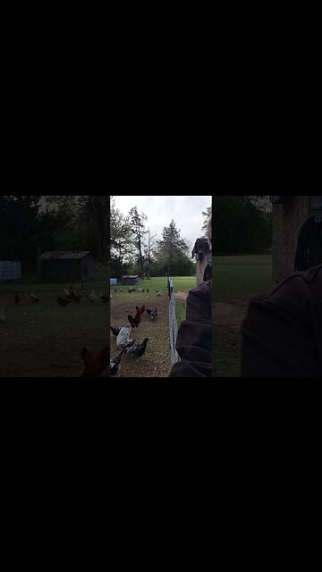 I messed up editing a couple videos