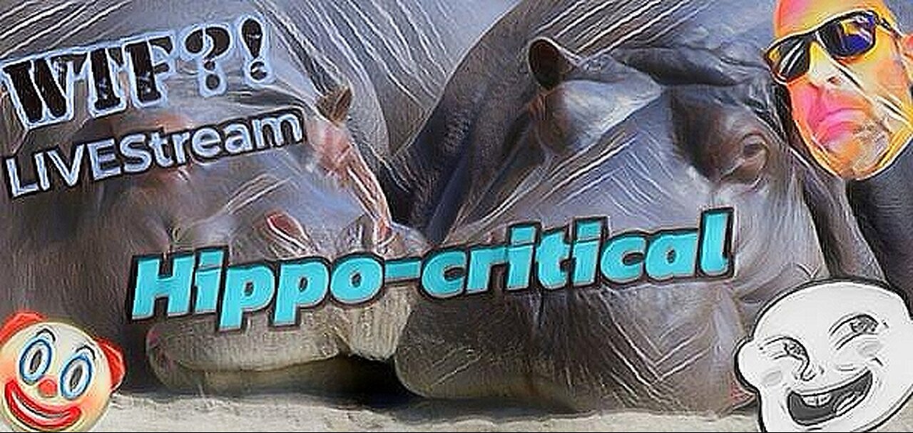 Hippo-critical