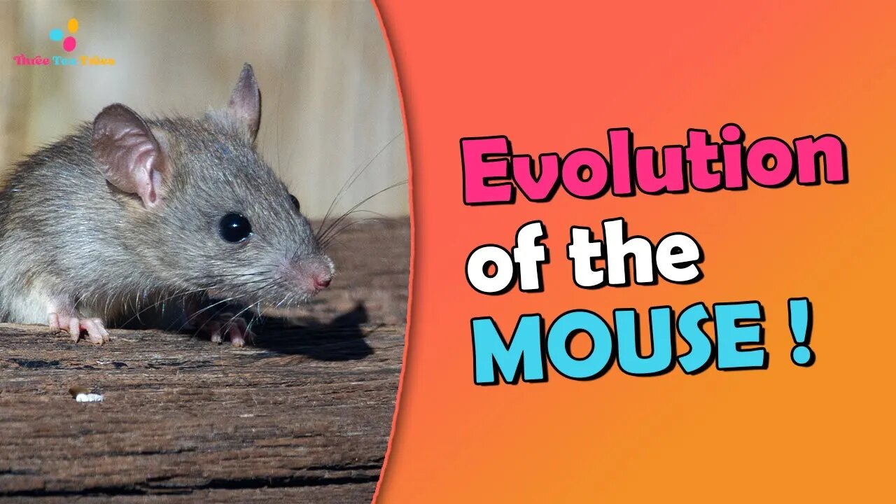 The Story of The First Mouse on Earth