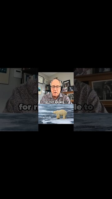 6 Times More Polar Bears Since The 1973 Treaty #polarbear #shortvideo