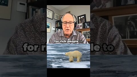 6 Times More Polar Bears Since The 1973 Treaty #polarbear #shortvideo