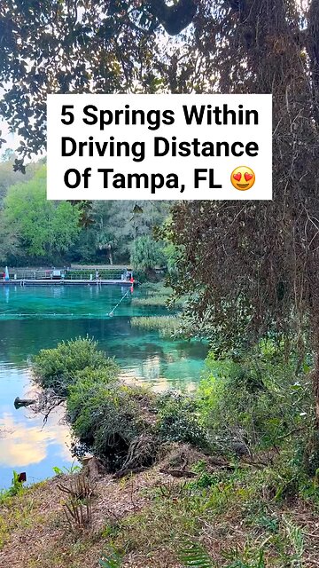 5 Springs Within Driving Distance of Tampa