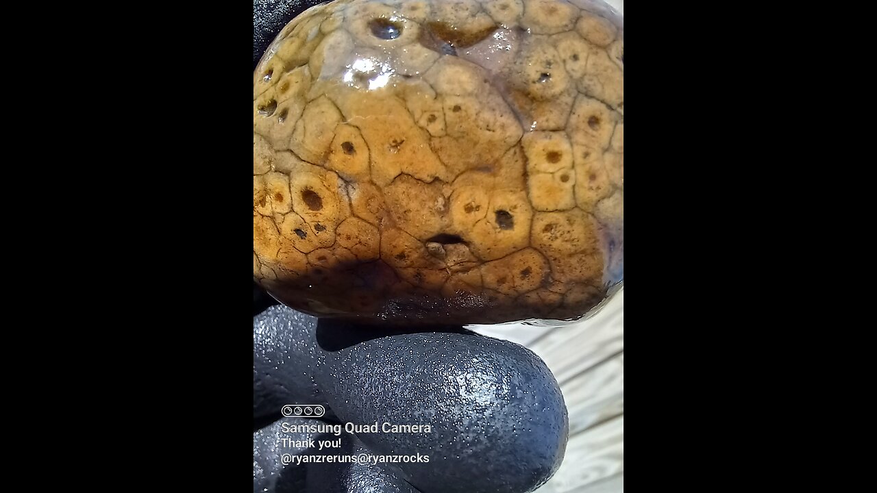 Petroskey stone?