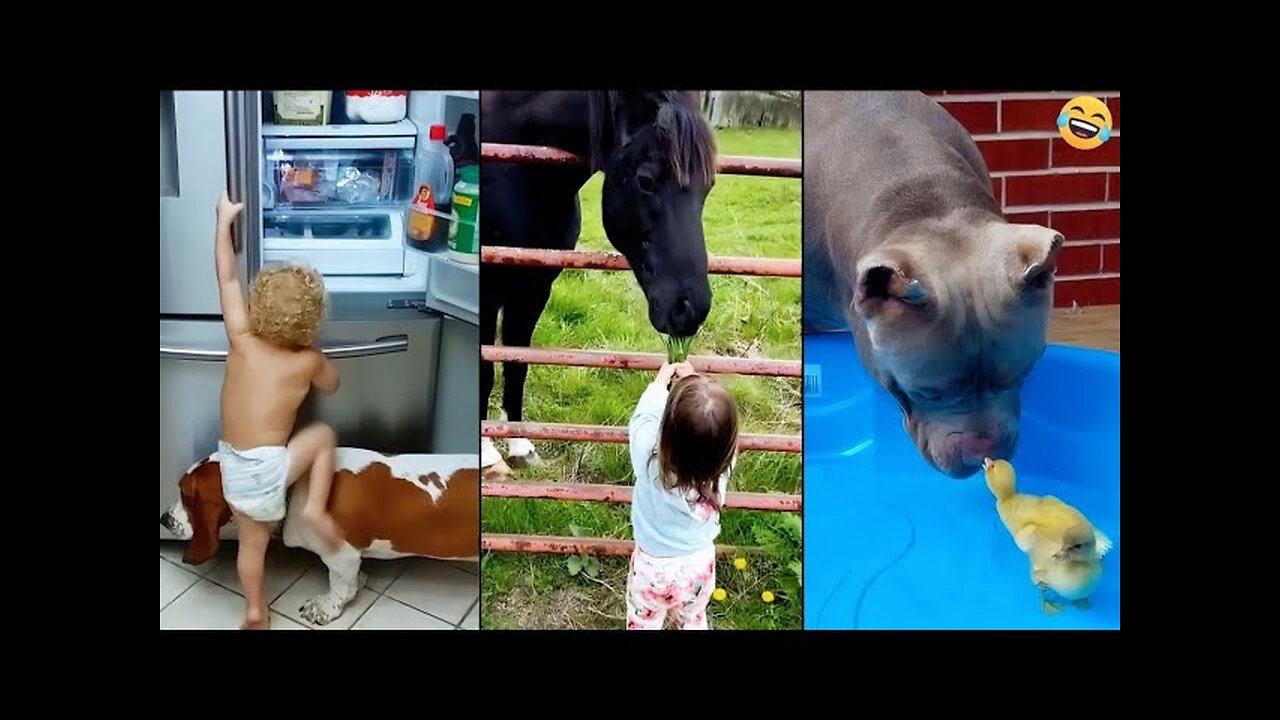 Funny animals videos 😂 Funniest CATS😺 DOGS🐕 Horse🐴