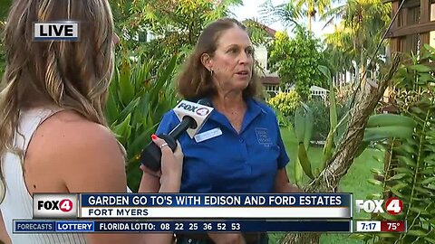 Gardening Tips from Senior Horticulturist at Edison and Ford Winter Estates