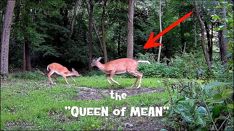 The "QUEEN of MEAN"