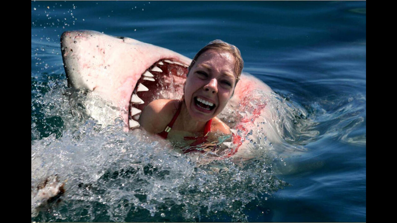 BIG WHITE SHARK ATTACK HUMAN *SCARY*