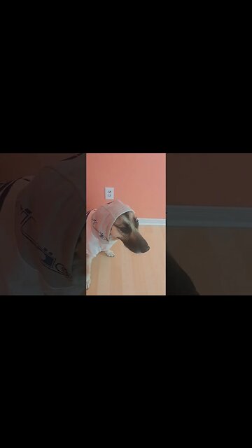 Only Way Maple Would Wear This