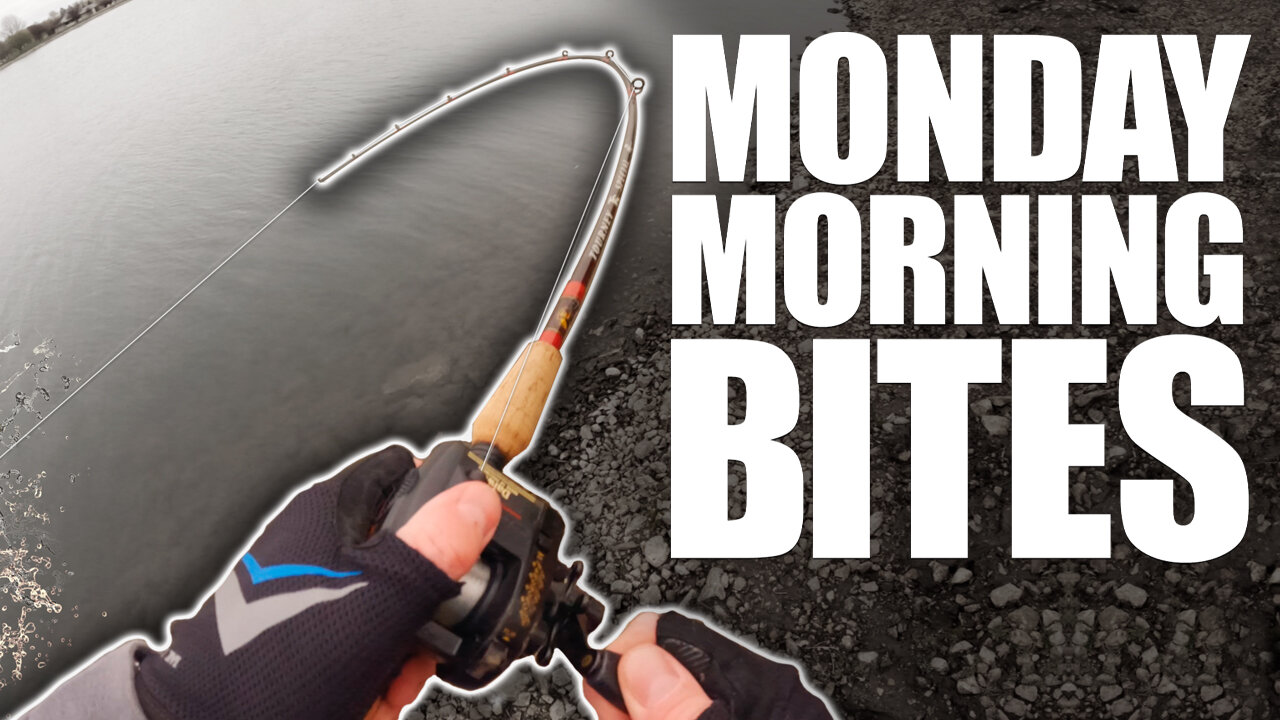 Daiwa MagForce Blast from the Past | Monday Morning Bites: Episode 3