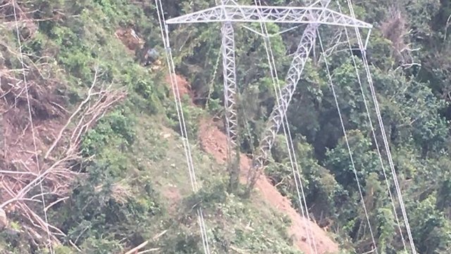 Thousands Of Puerto Ricans Lose Power — Because Of A Tree