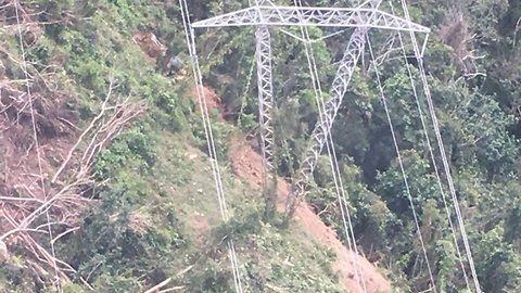 Thousands Of Puerto Ricans Lose Power — Because Of A Tree