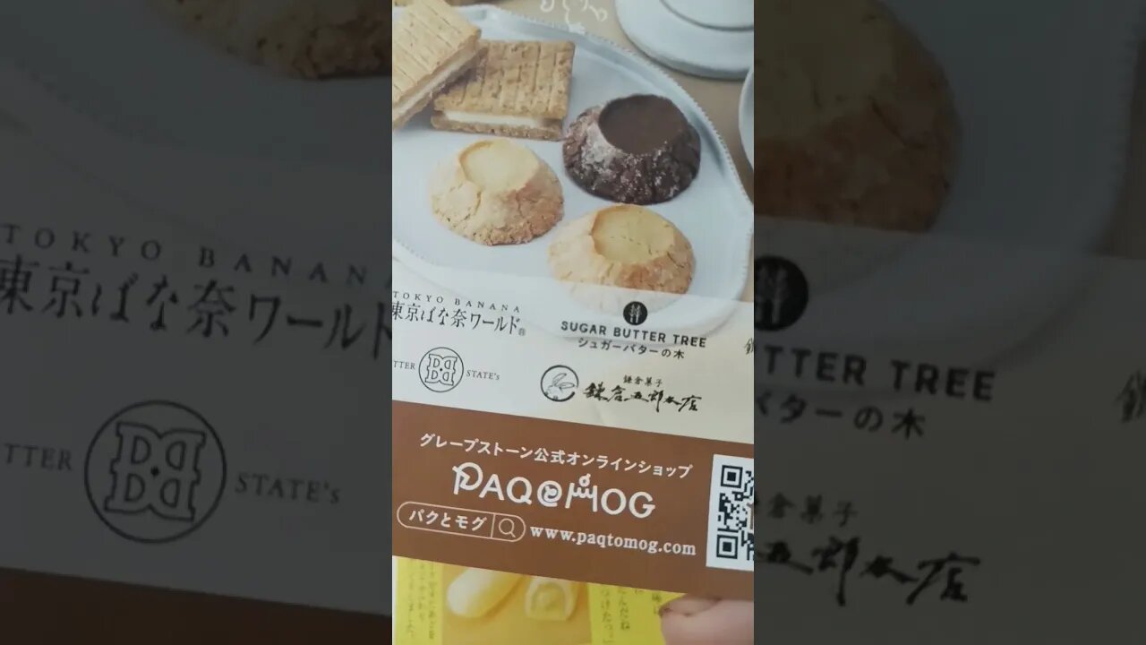 #etsukojunio #etsukofans #fransiscaofficial #teamfransisca #沉连清 #fransisca #fransiscametaworld