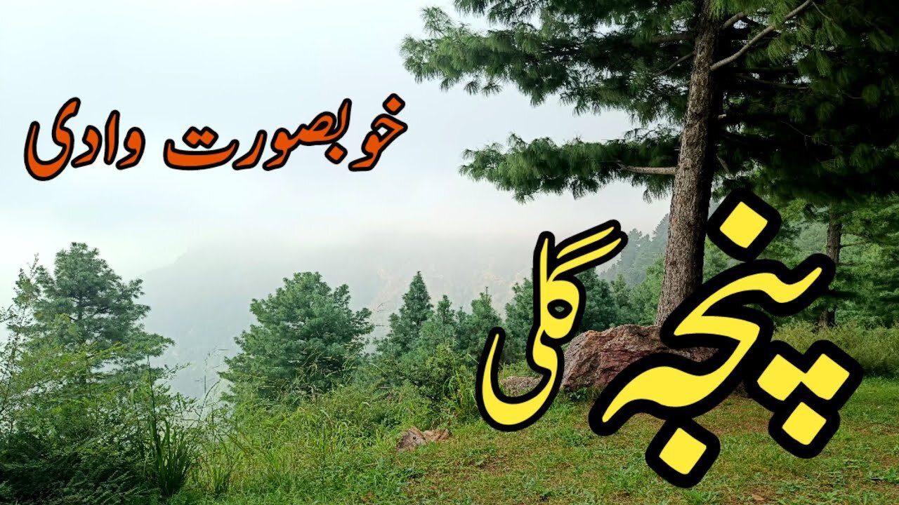 Panja gali Mansehra KPK | Road Trip | Most beautiful valley of Pakistan | #panjagali