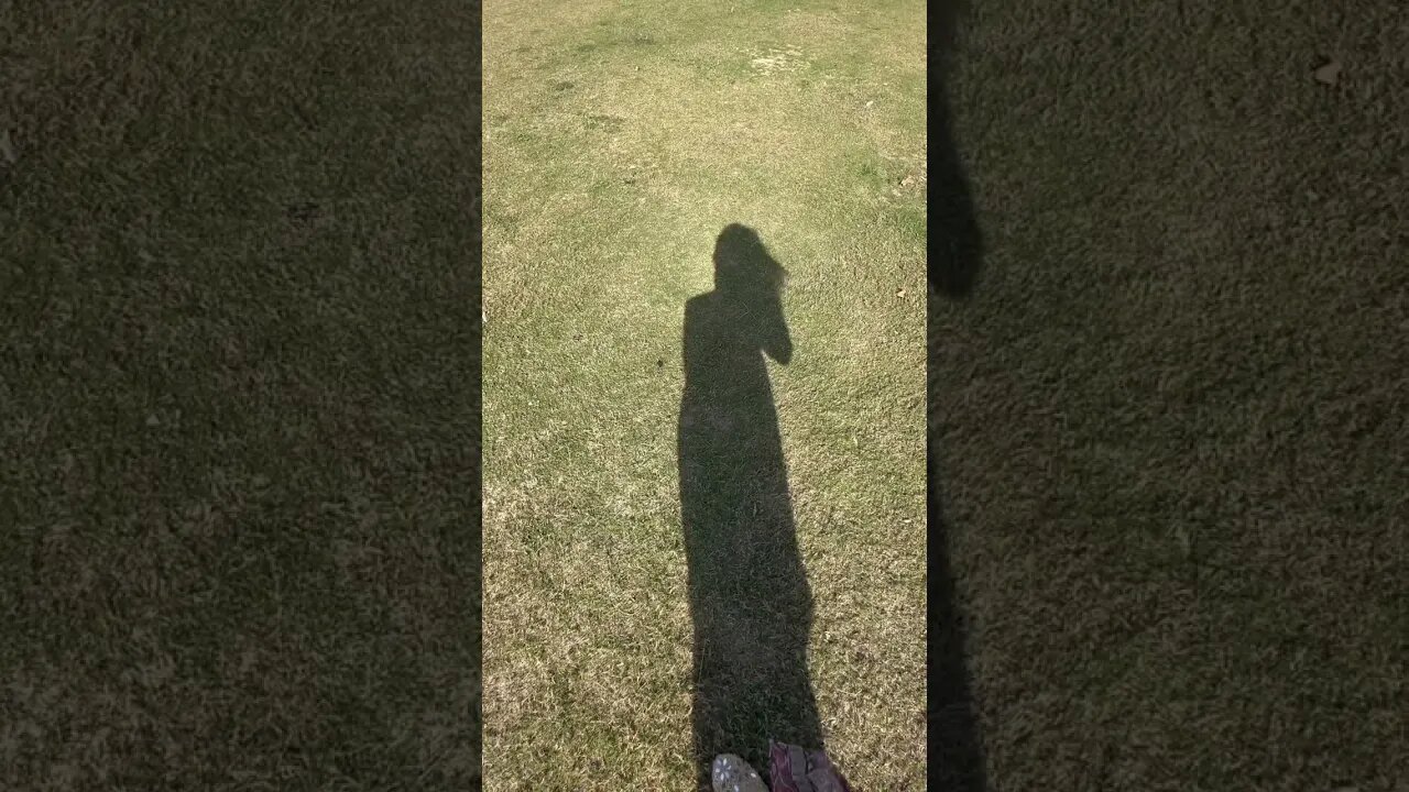 Shadow Dubai #shorts