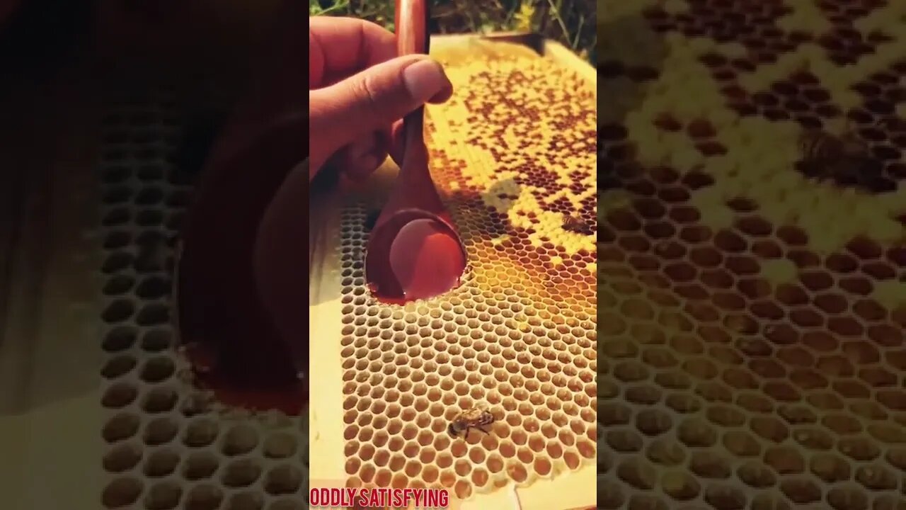 Best Oddly Satisfying Video for Stress Relief #Shorts #oddlysatisfying #relaxing #asmr(5)