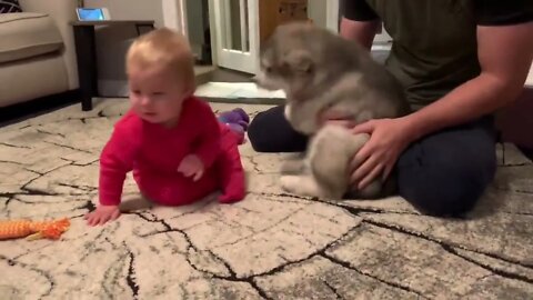 Baby And Puppy Growing Up Together!