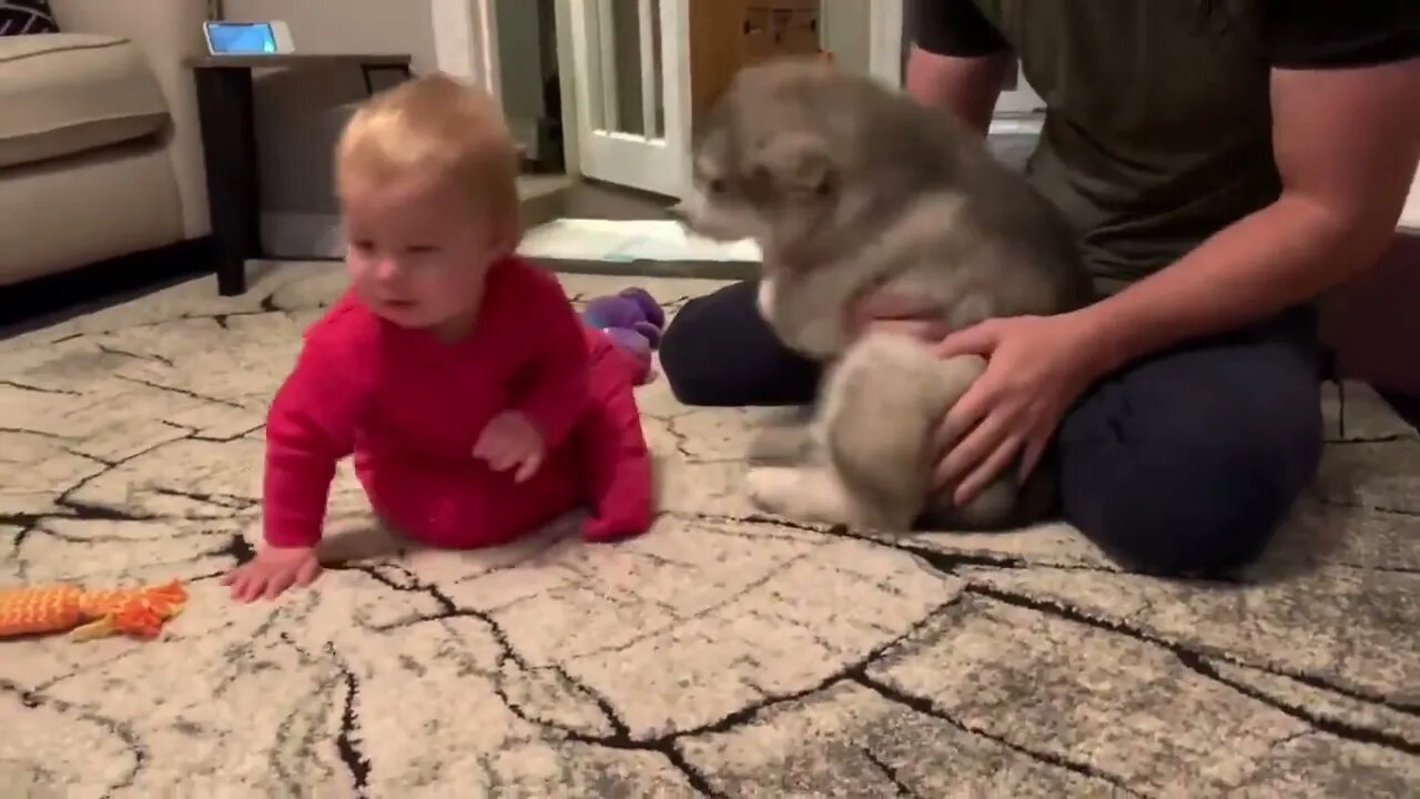 Baby And Puppy Growing Up Together!
