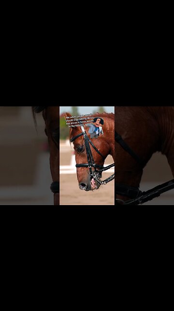 Reform Horse Sports… or let them die