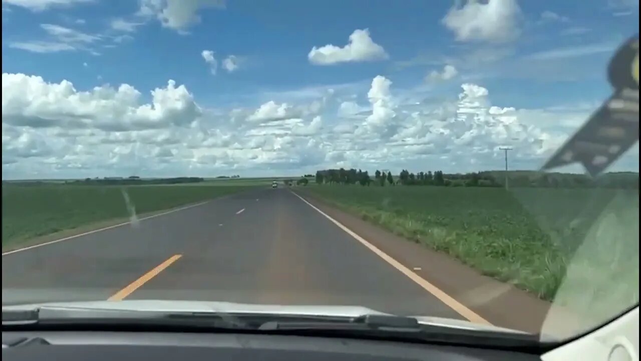 Soja tem safra acompanhada de perto por Brandalize. Veja as imagens