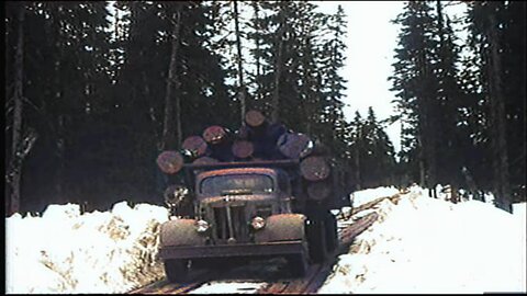 COLORIZED VINTAGE CANADIAN LOGGING FILM