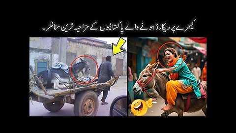 MOST FUNNY MOMENTS OF PAKISTANI PEOPLE 😂 || most pakistani funny video 😜