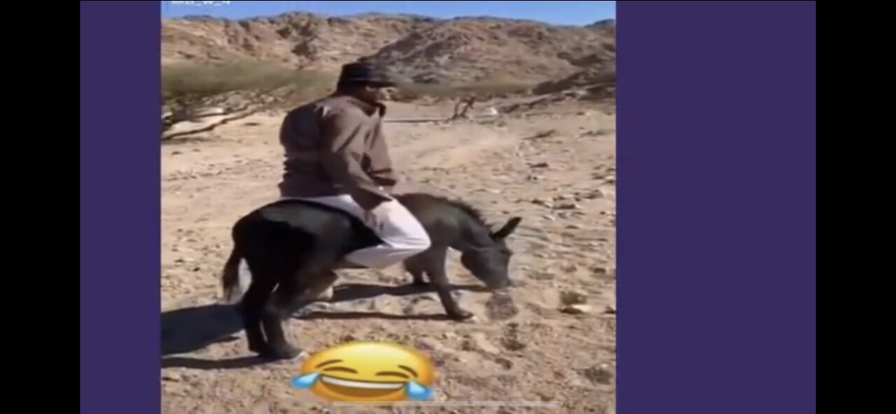 Funny clips hhhh