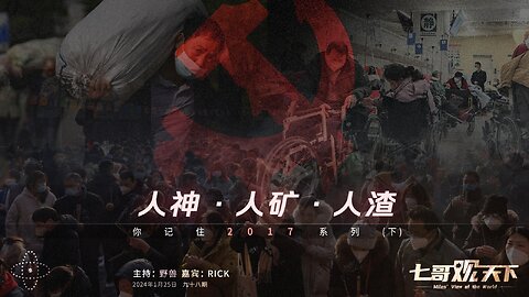 《七哥观天下》98期 人神、人矿、人渣——你记住2017系列（下）